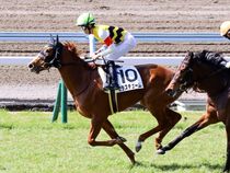 ����å��ǳ��������ɽ�����ޤ�