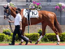 ����å��ǳ��������ɽ�����ޤ�