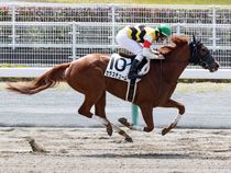 ����å��ǳ��������ɽ�����ޤ�