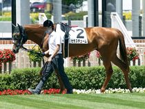 ����å��ǳ��������ɽ�����ޤ�