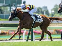 ����å��ǳ��������ɽ�����ޤ�