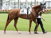 ����å��ǳ��������ɽ�����ޤ�