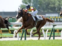 ����å��ǳ��������ɽ�����ޤ�