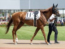 ����å��ǳ��������ɽ�����ޤ�