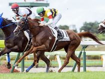 ����å��ǳ��������ɽ�����ޤ�