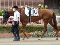 ����å��ǳ��������ɽ�����ޤ�