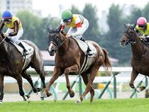 ����å��ǳ��������ɽ�����ޤ�