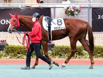 ����å��ǳ��������ɽ�����ޤ�