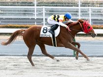 ����å��ǳ��������ɽ�����ޤ�