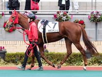 ����å��ǳ��������ɽ�����ޤ�