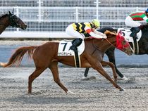 ����å��ǳ��������ɽ�����ޤ�