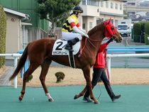 ����å��ǳ��������ɽ�����ޤ�