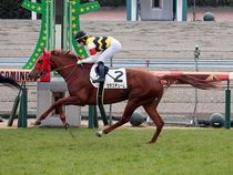 ����å��ǳ��������ɽ�����ޤ�