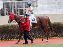 ����å��ǳ��������ɽ�����ޤ�