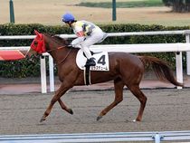 ����å��ǳ��������ɽ�����ޤ�