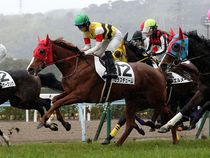 ����å��ǳ��������ɽ�����ޤ�