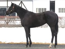 ����å��ǳ��������ɽ�����ޤ�