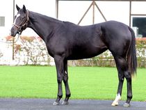 ����å��ǳ��������ɽ�����ޤ�