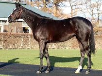 ����å��ǳ��������ɽ�����ޤ�