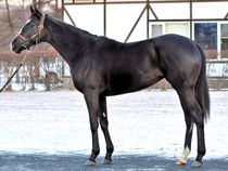 ����å��ǳ��������ɽ�����ޤ�