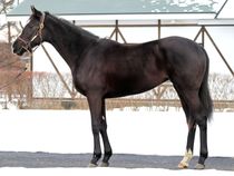 ����å��ǳ��������ɽ�����ޤ�