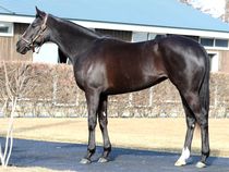 ����å��ǳ��������ɽ�����ޤ�