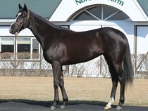 ����å��ǳ��������ɽ�����ޤ�