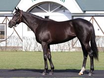 ����å��ǳ��������ɽ�����ޤ�