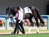 ����å��ǳ��������ɽ�����ޤ�