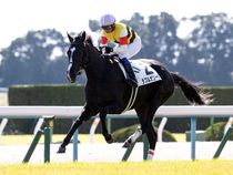 ����å��ǳ��������ɽ�����ޤ�