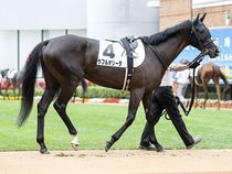 ����å��ǳ��������ɽ�����ޤ�