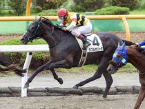 ����å��ǳ��������ɽ�����ޤ�