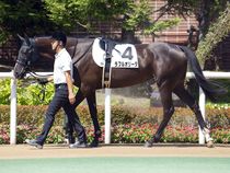 ����å��ǳ��������ɽ�����ޤ�