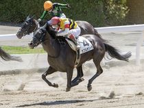 ����å��ǳ��������ɽ�����ޤ�