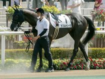 ����å��ǳ��������ɽ�����ޤ�