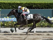 ����å��ǳ��������ɽ�����ޤ�