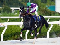 ����å��ǳ��������ɽ�����ޤ�