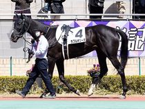 ����å��ǳ��������ɽ�����ޤ�