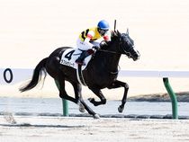 ����å��ǳ��������ɽ�����ޤ�