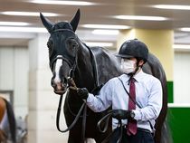 ����å��ǳ��������ɽ�����ޤ�