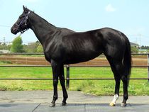 ����å��ǳ��������ɽ�����ޤ�