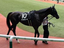 ����å��ǳ��������ɽ�����ޤ�