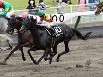 ����å��ǳ��������ɽ�����ޤ�