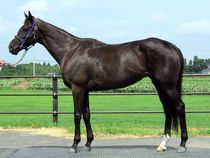 ����å��ǳ��������ɽ�����ޤ�