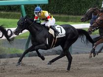 ����å��ǳ��������ɽ�����ޤ�