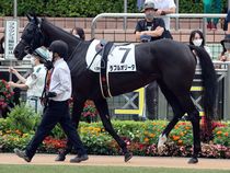 ����å��ǳ��������ɽ�����ޤ�