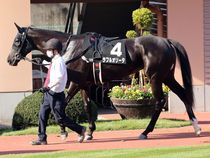 ����å��ǳ��������ɽ�����ޤ�