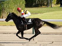 ����å��ǳ��������ɽ�����ޤ�