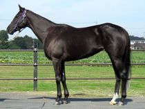 ����å��ǳ��������ɽ�����ޤ�