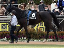 ����å��ǳ��������ɽ�����ޤ�